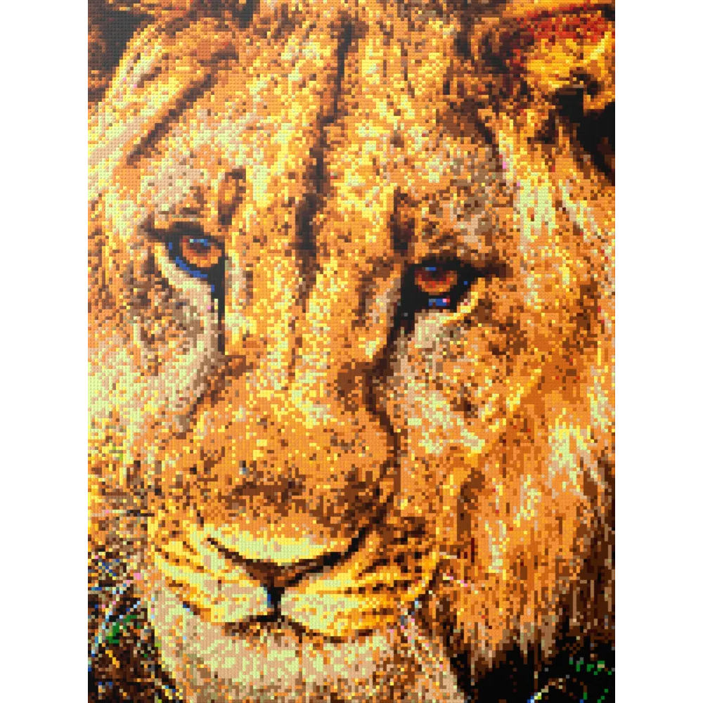 Male African Lion Closeup Portrait Large