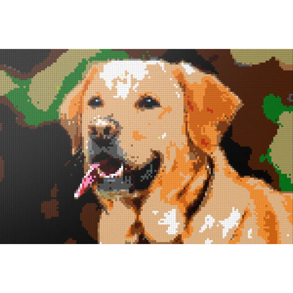 Labrador Kadabrador