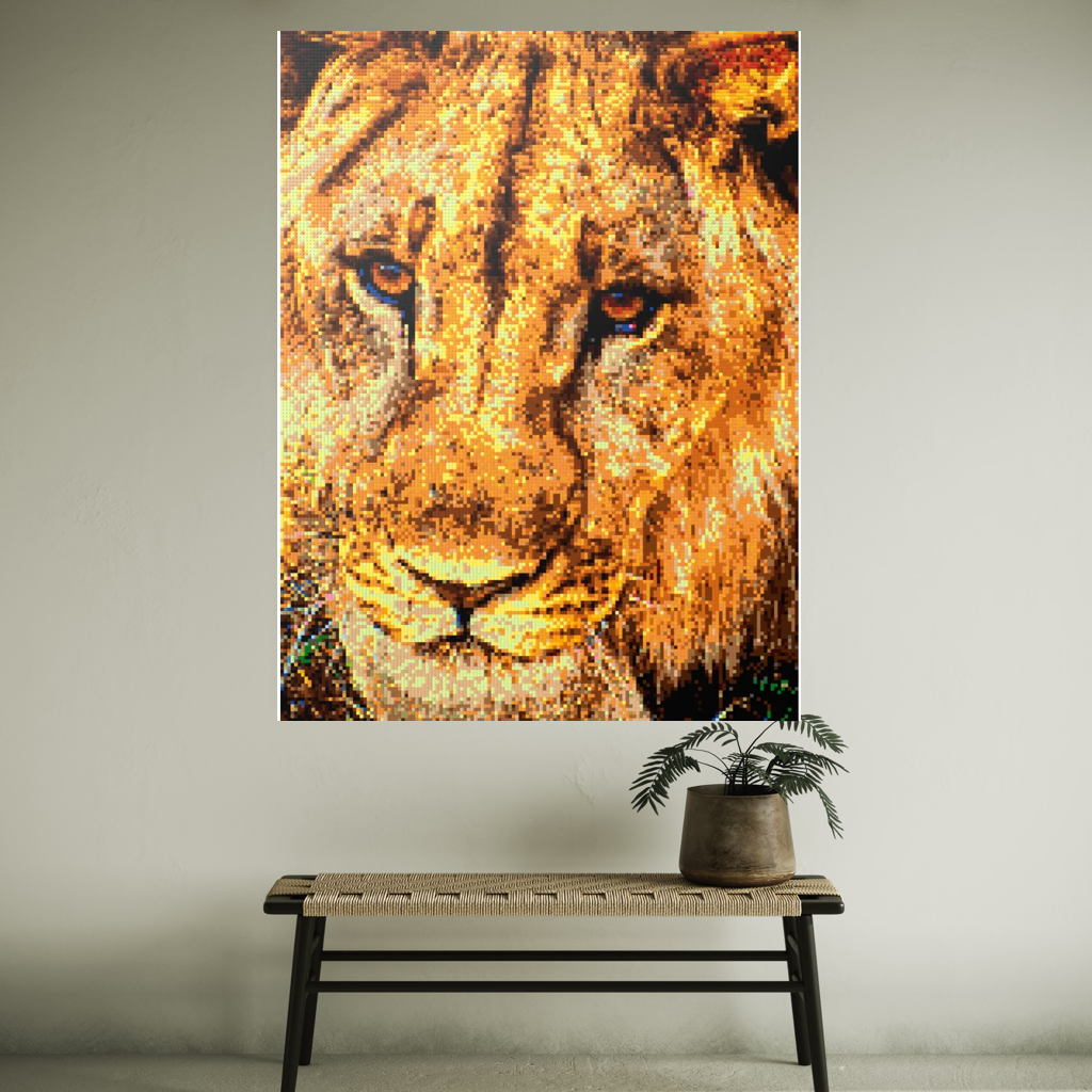 Male African Lion Closeup Portrait Large