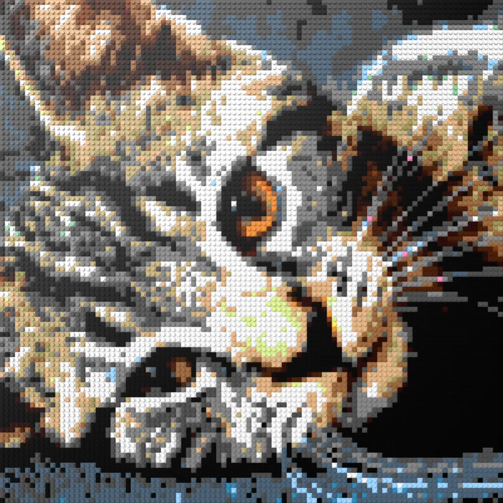 My Mosaic