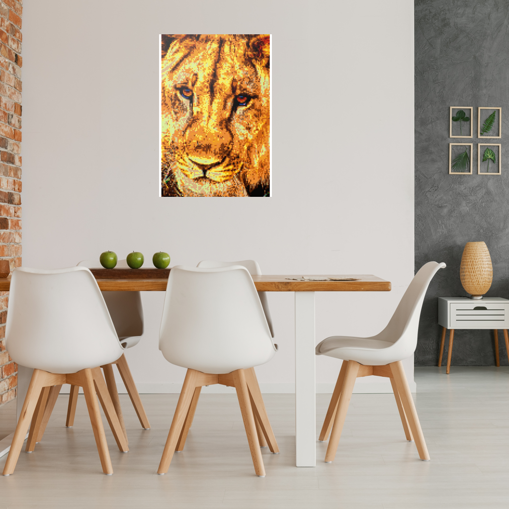 African Male Lion Closeup Portrait