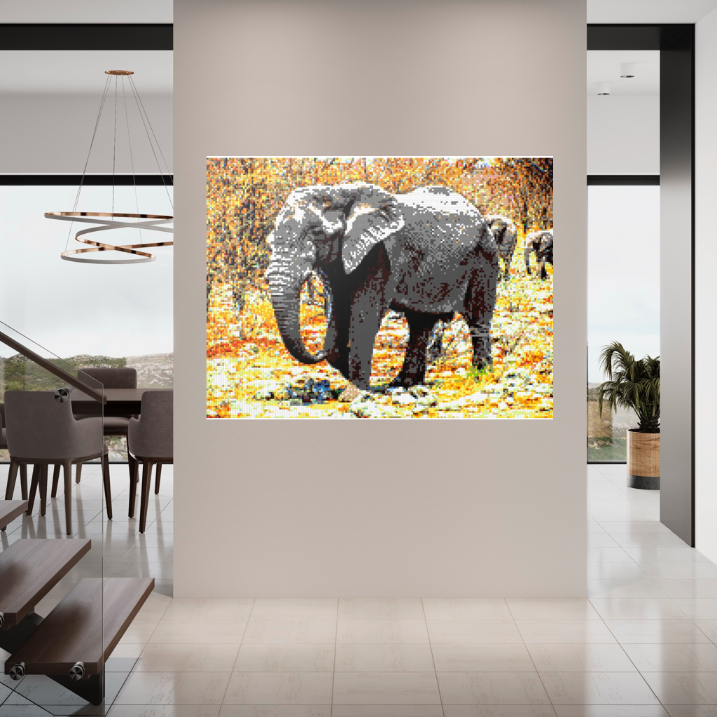 African Elephant Portrait