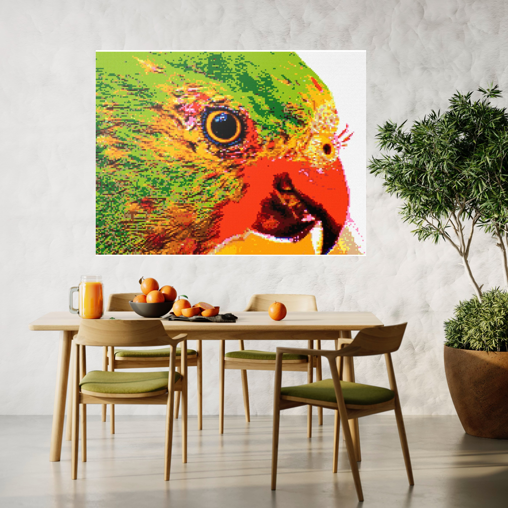 Lorikeet Portrait
