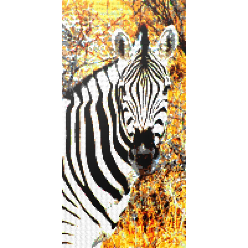 Side Portrait of an African Zebra