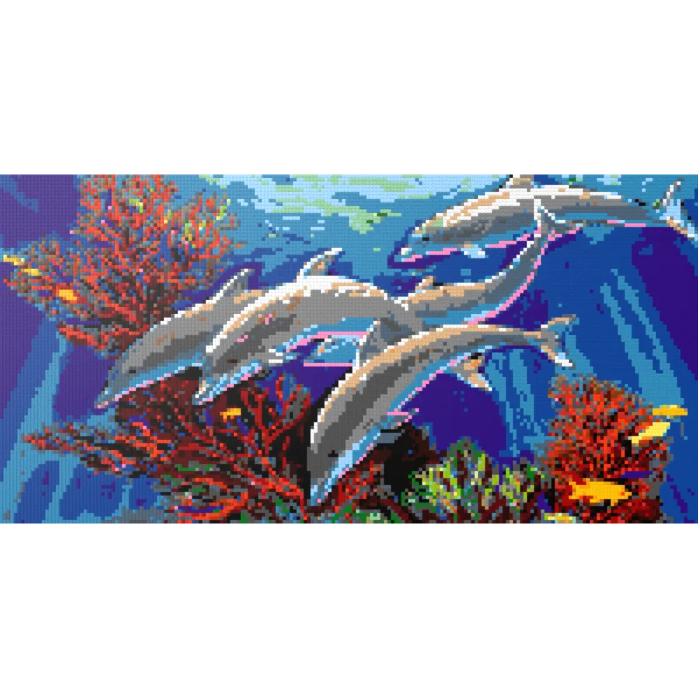 Joy of the Dolphin Family
