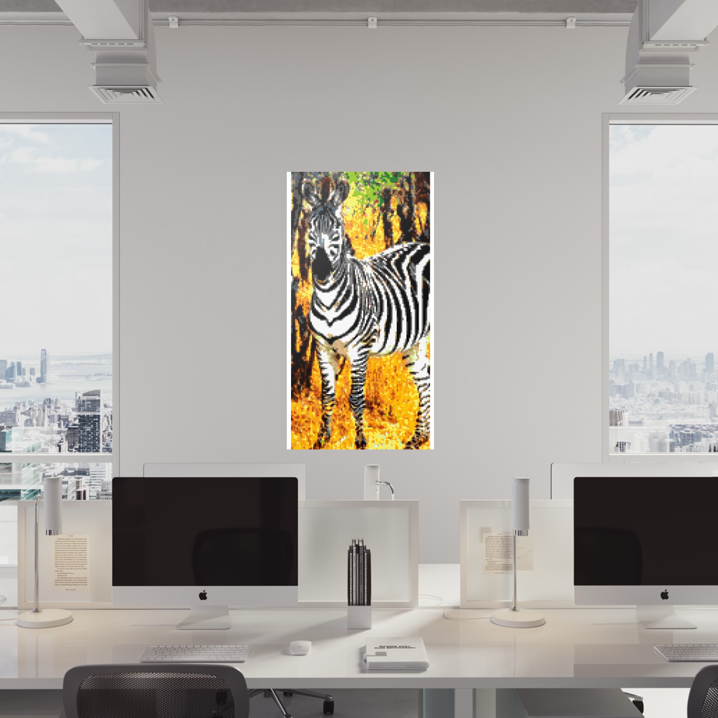African Zebra Portrait