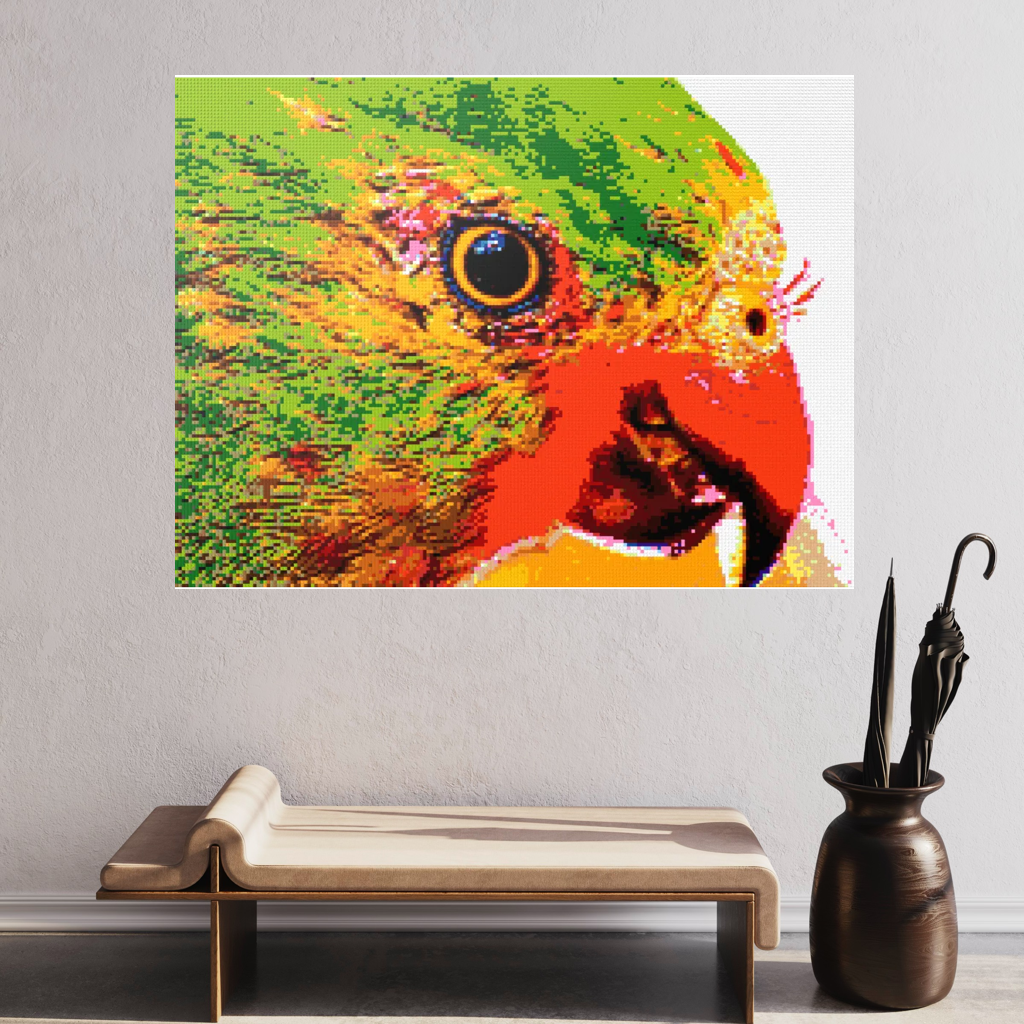Lorikeet Portrait