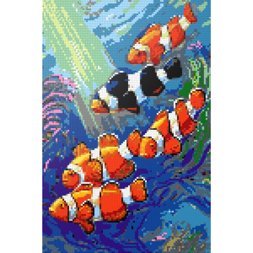 Clownfish Paradise