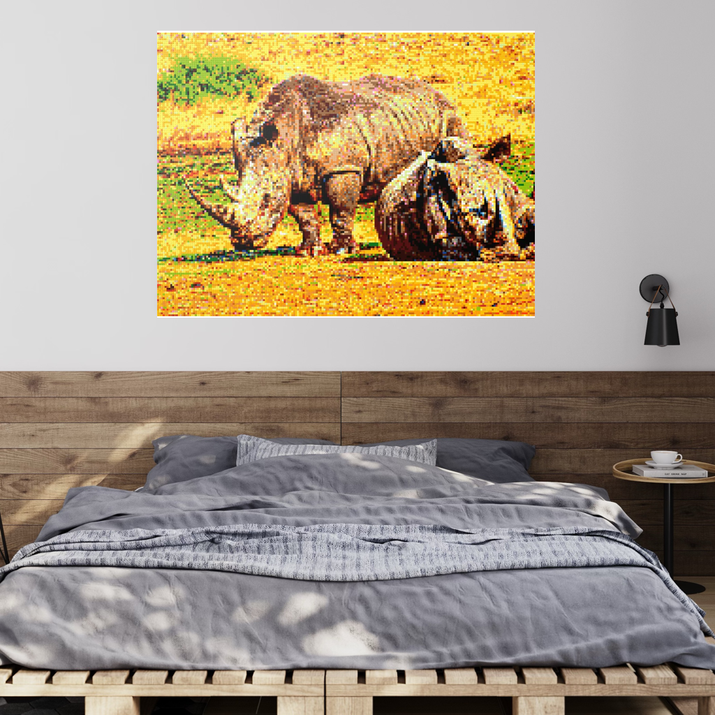 A pair of African rhinoceros in Southern Africa