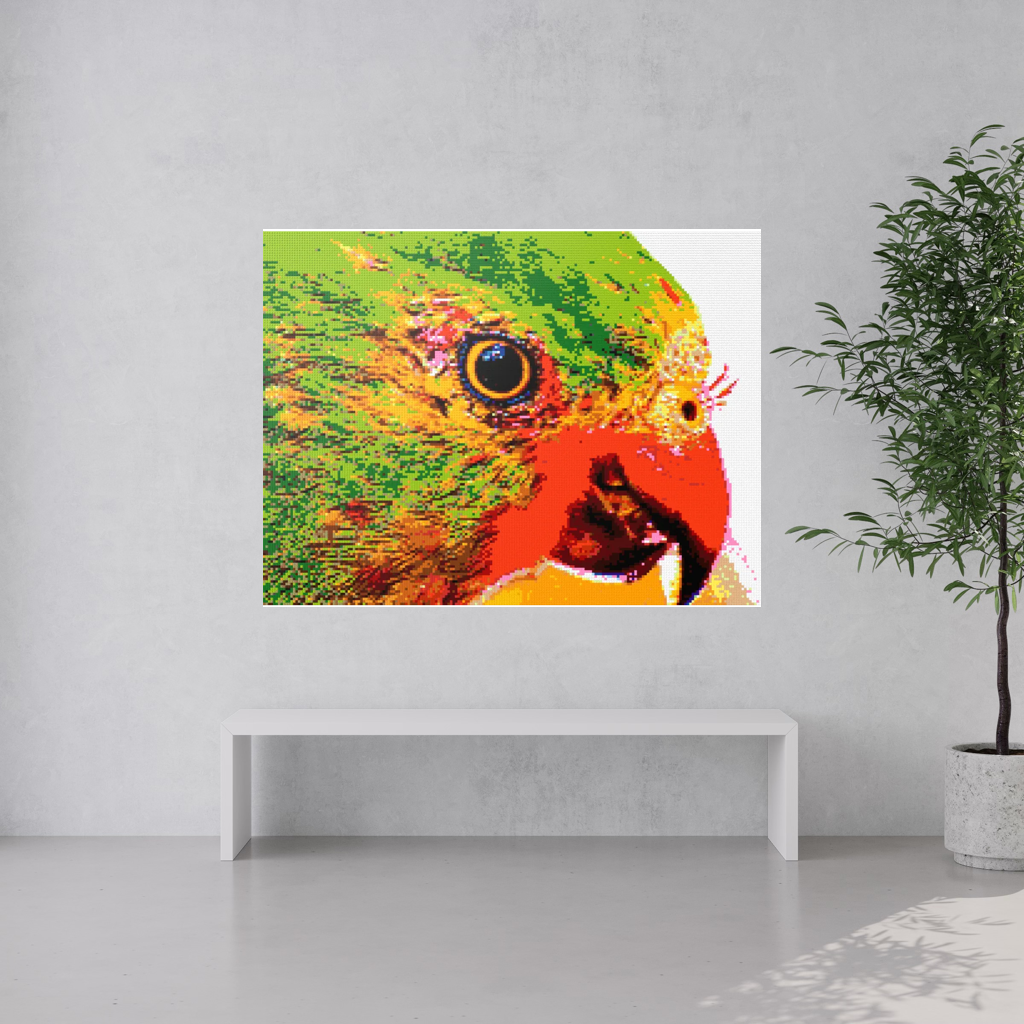Lorikeet Portrait