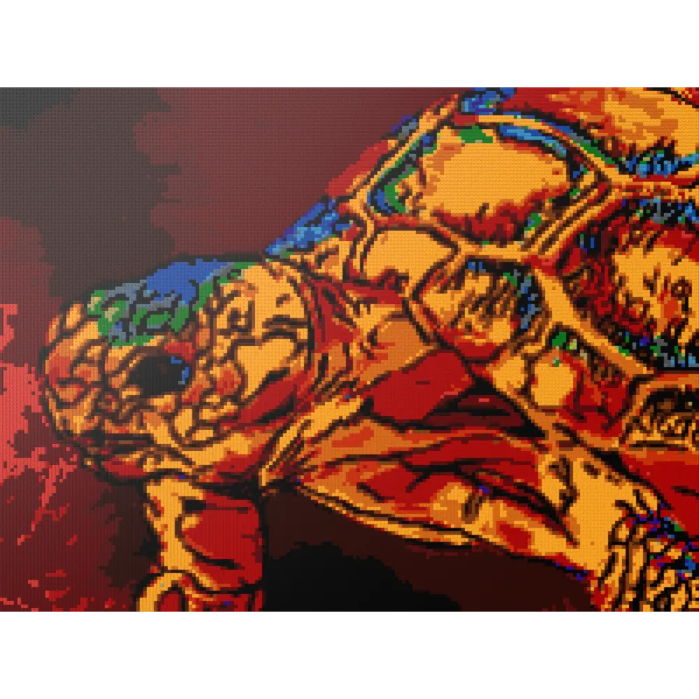 Desert Tortosie