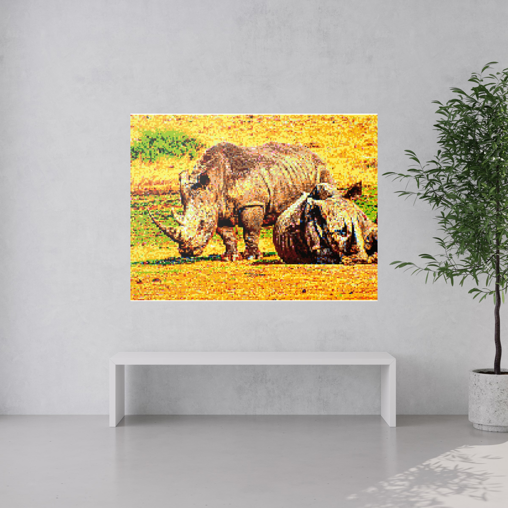 A pair of African rhinoceros in Southern Africa