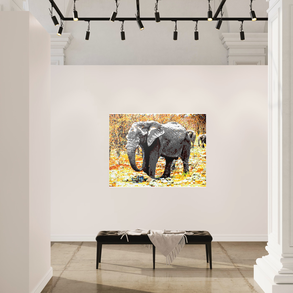 African Elephant Portrait