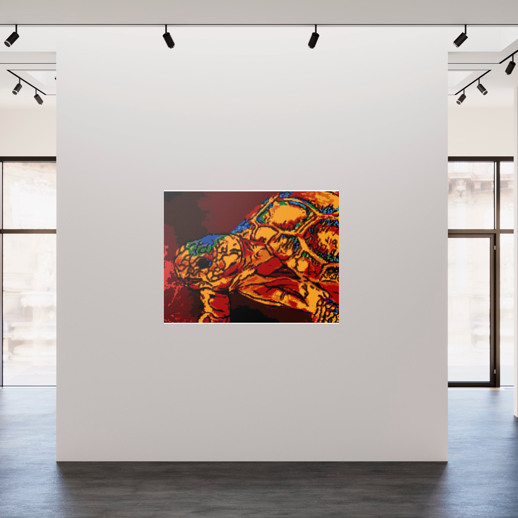 Desert Tortosie