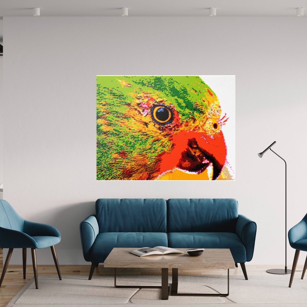 Lorikeet Portrait