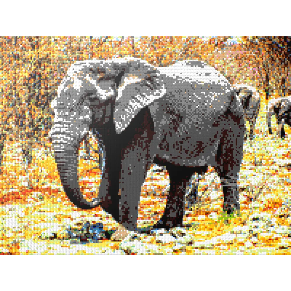 African Elephant Portrait