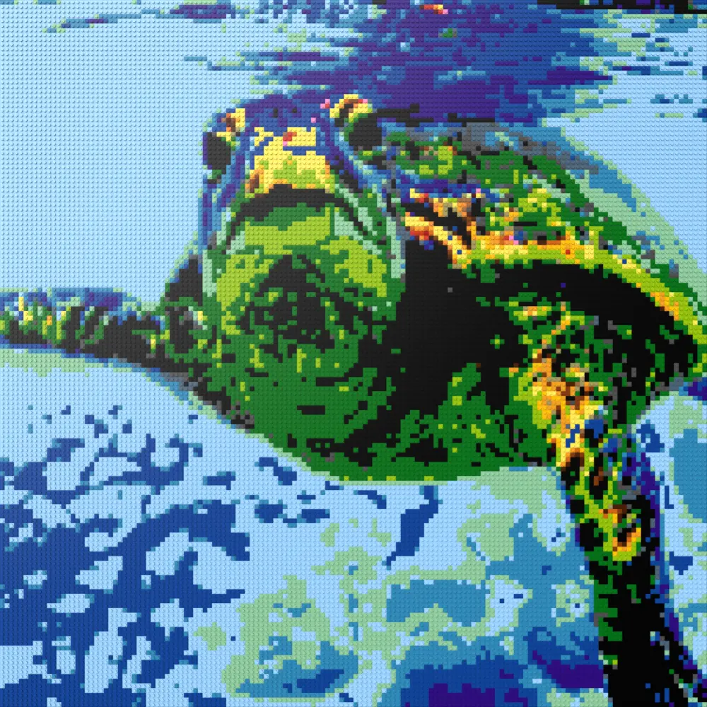 Hawaiian Sea Turtle