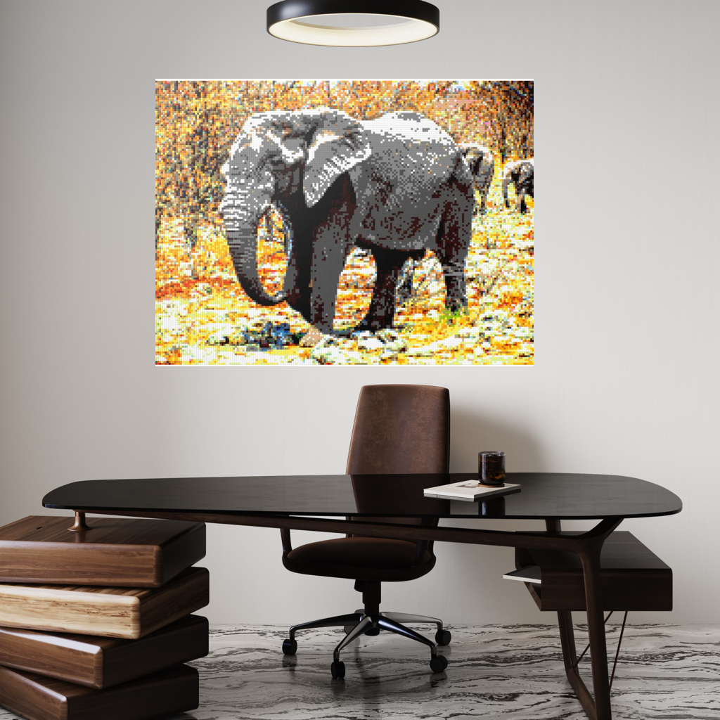 African Elephant Portrait