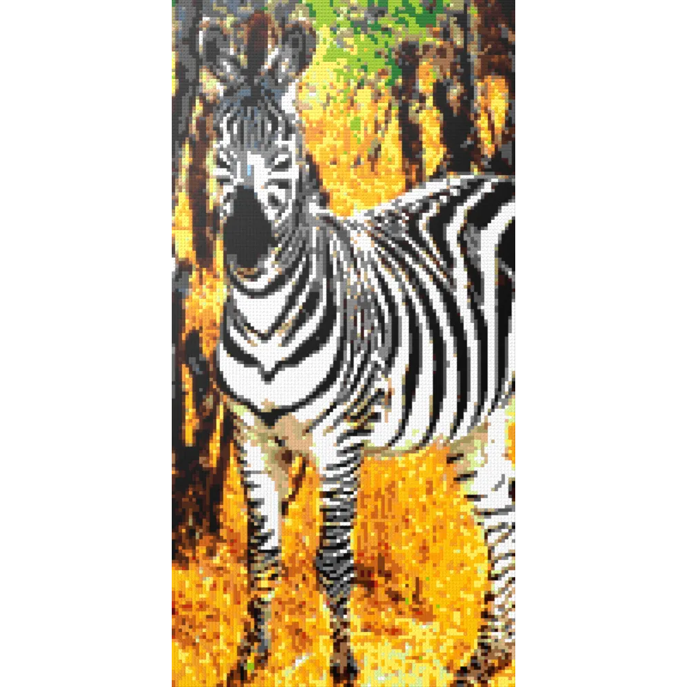 African Zebra Portrait