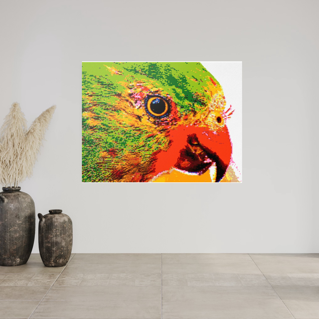 Lorikeet Portrait