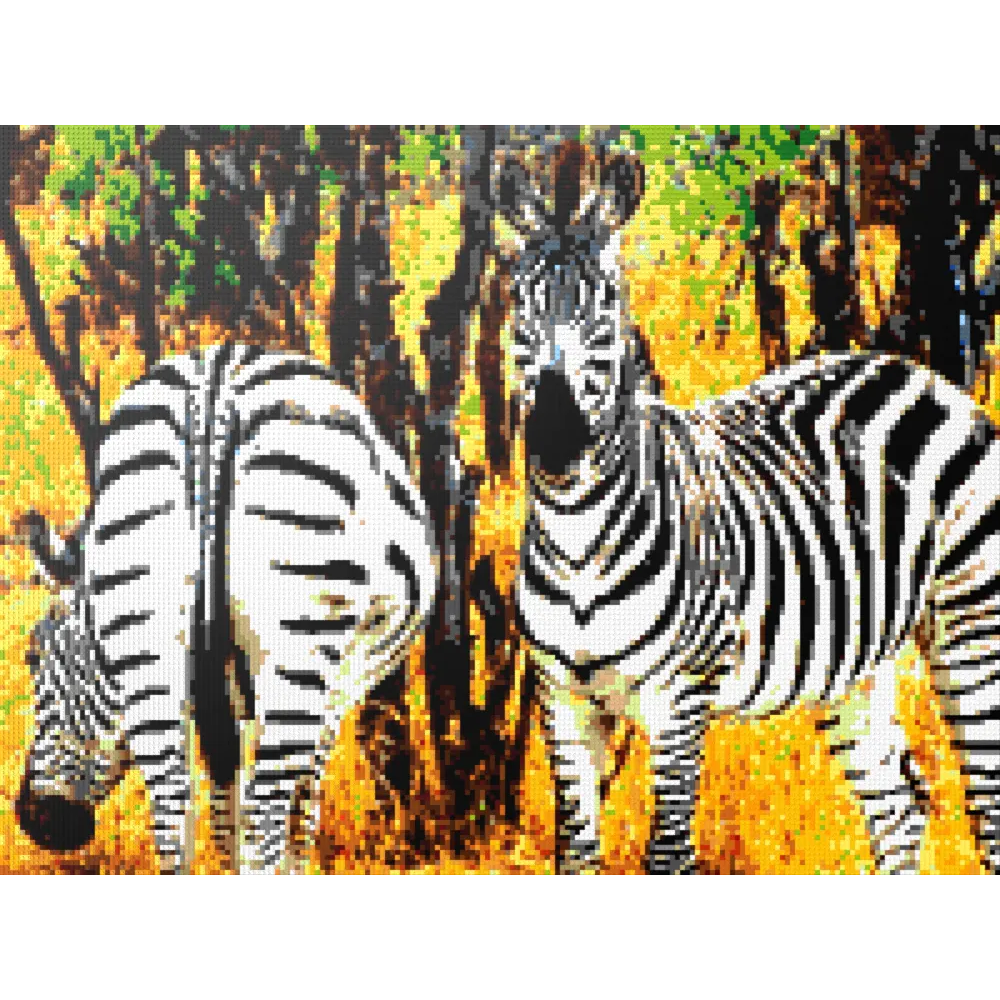 Both Sides of the Zebra