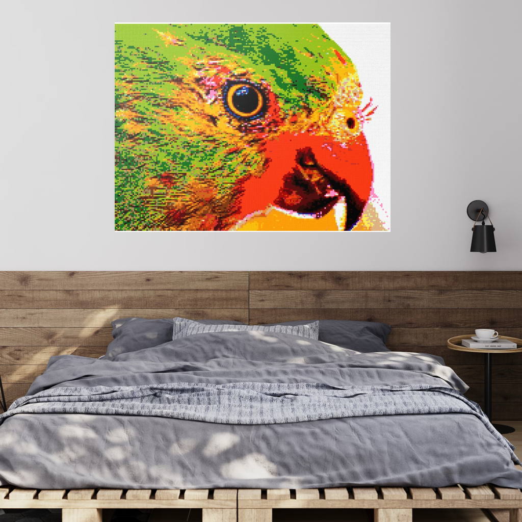 Lorikeet Portrait