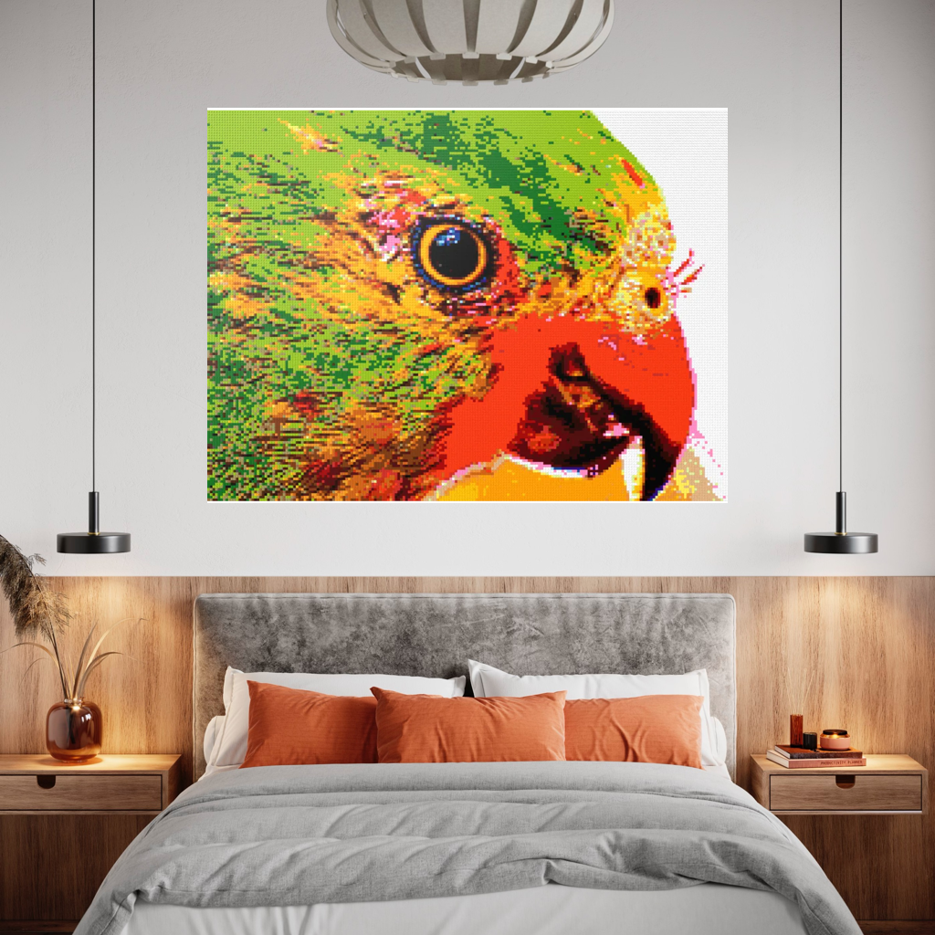 Lorikeet Portrait