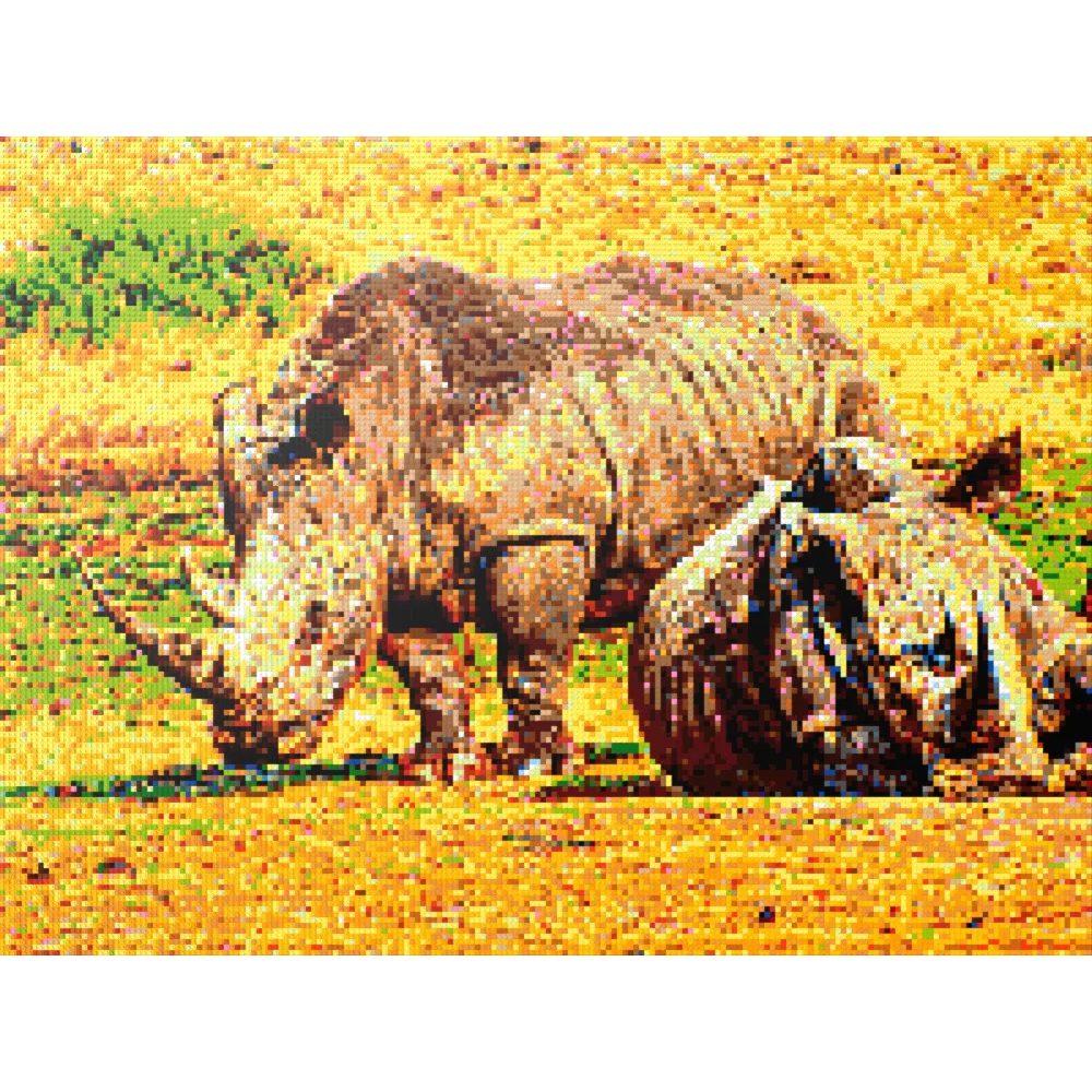 A pair of African rhinoceros in Southern Africa