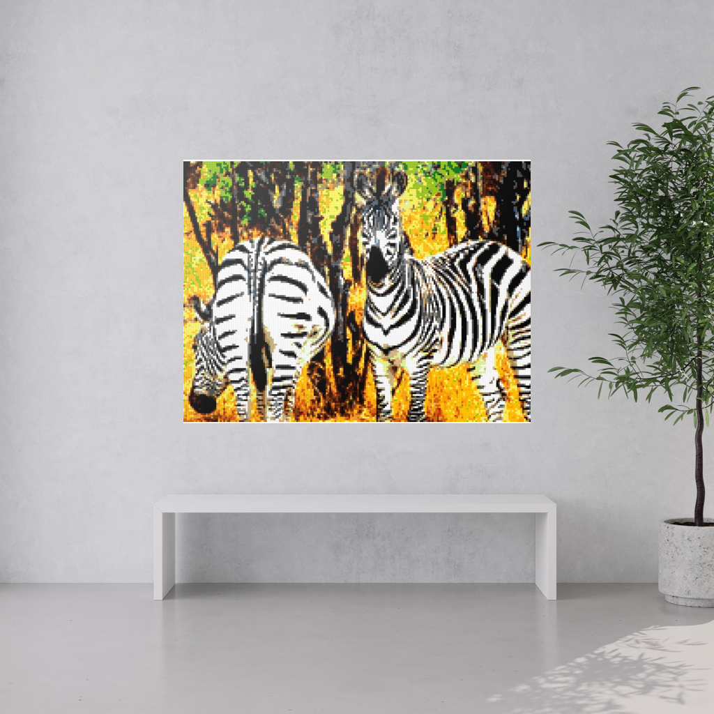 Both Sides of the Zebra
