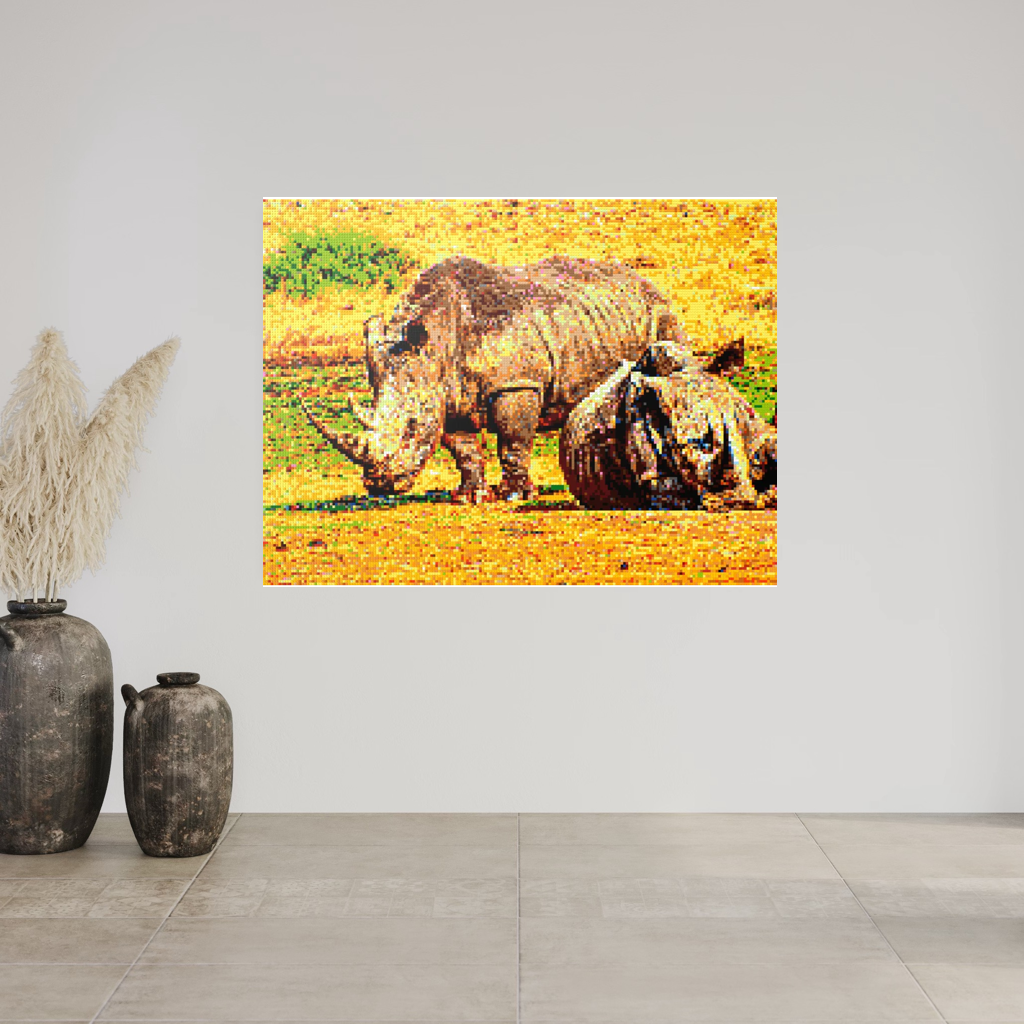 A pair of African rhinoceros in Southern Africa