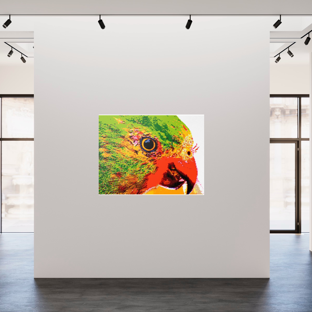 Lorikeet Portrait