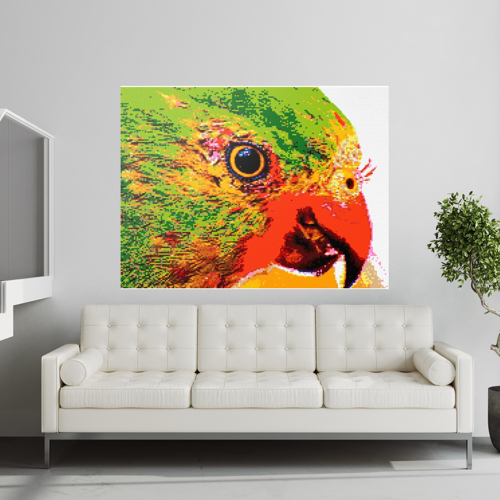 Lorikeet Portrait