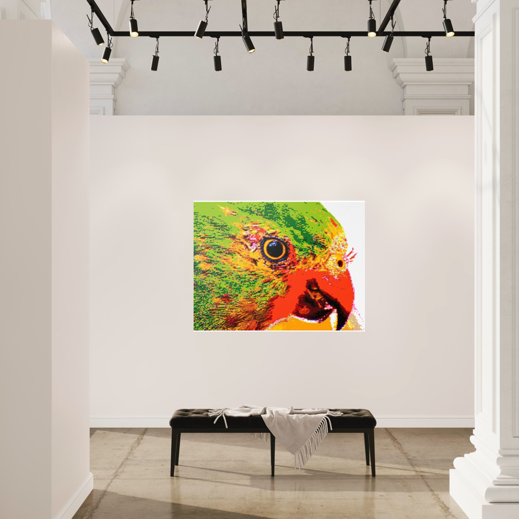 Lorikeet Portrait