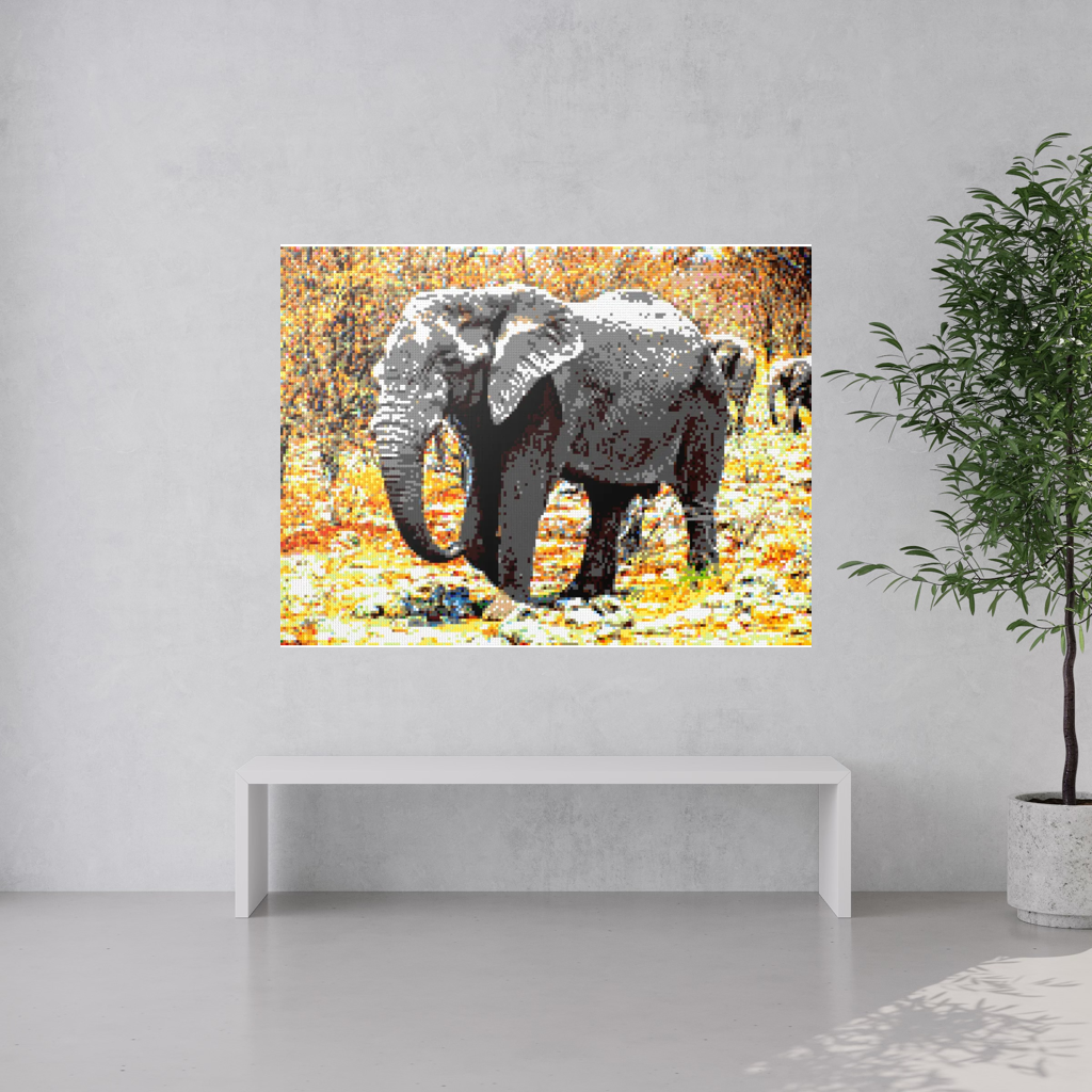 African Elephant Portrait