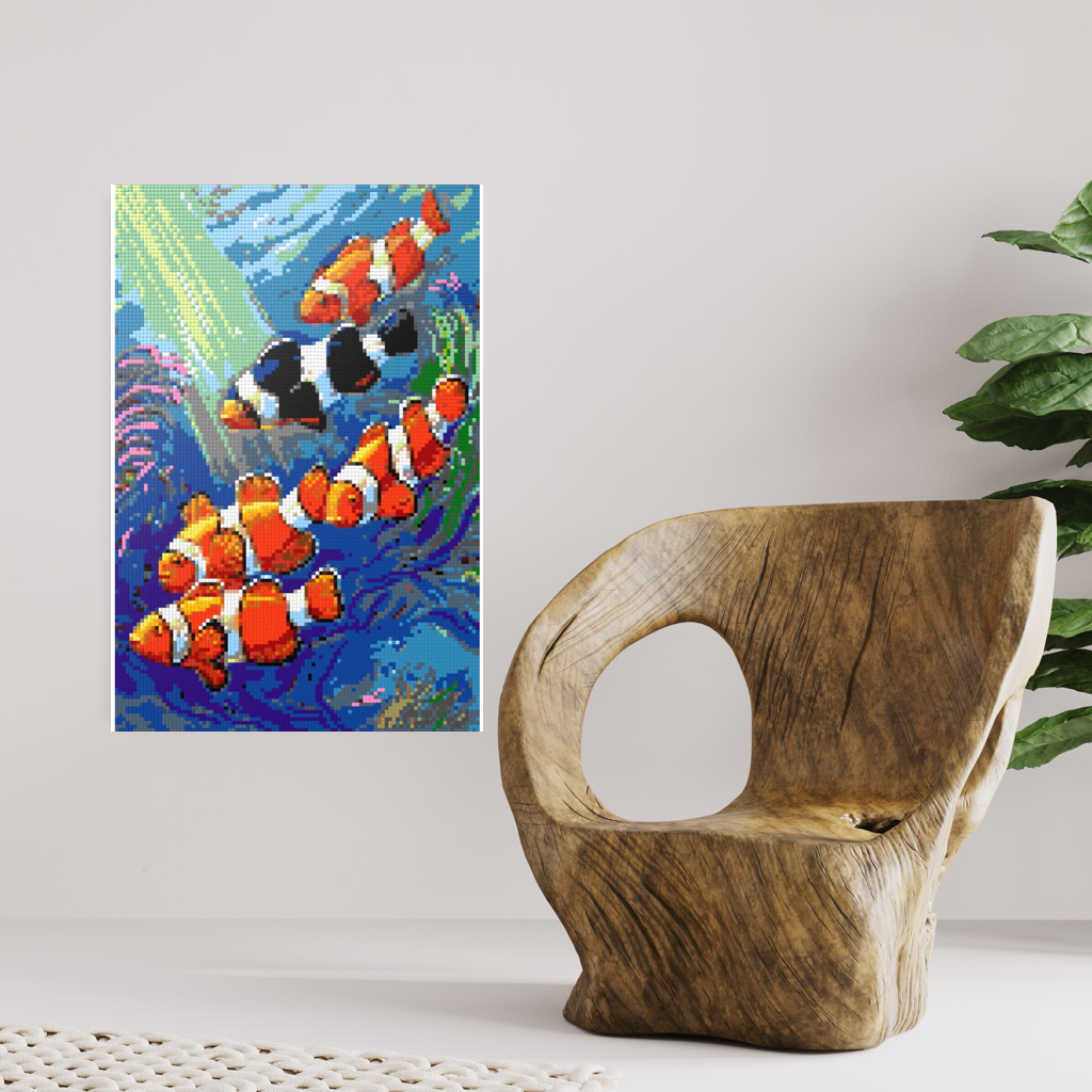 Clownfish Paradise