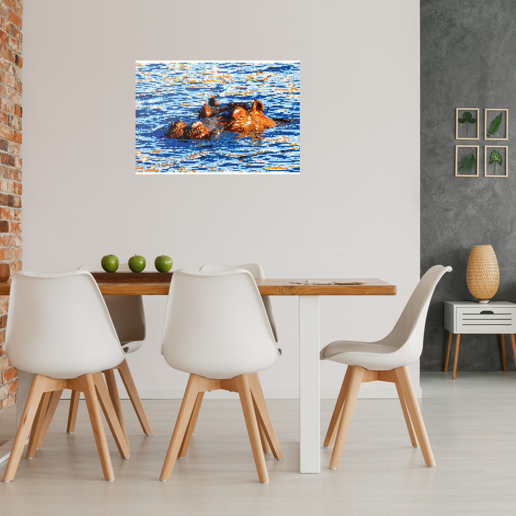 Hippopotamus in Water