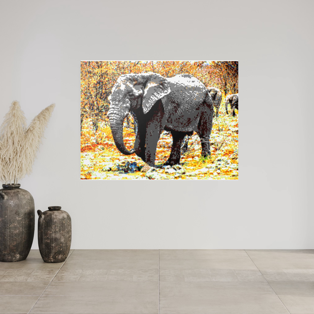 African Elephant Portrait