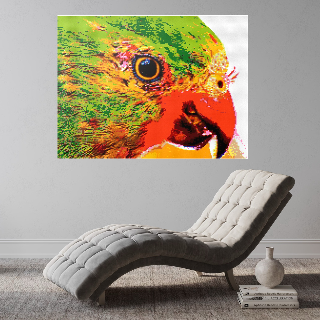 Lorikeet Portrait