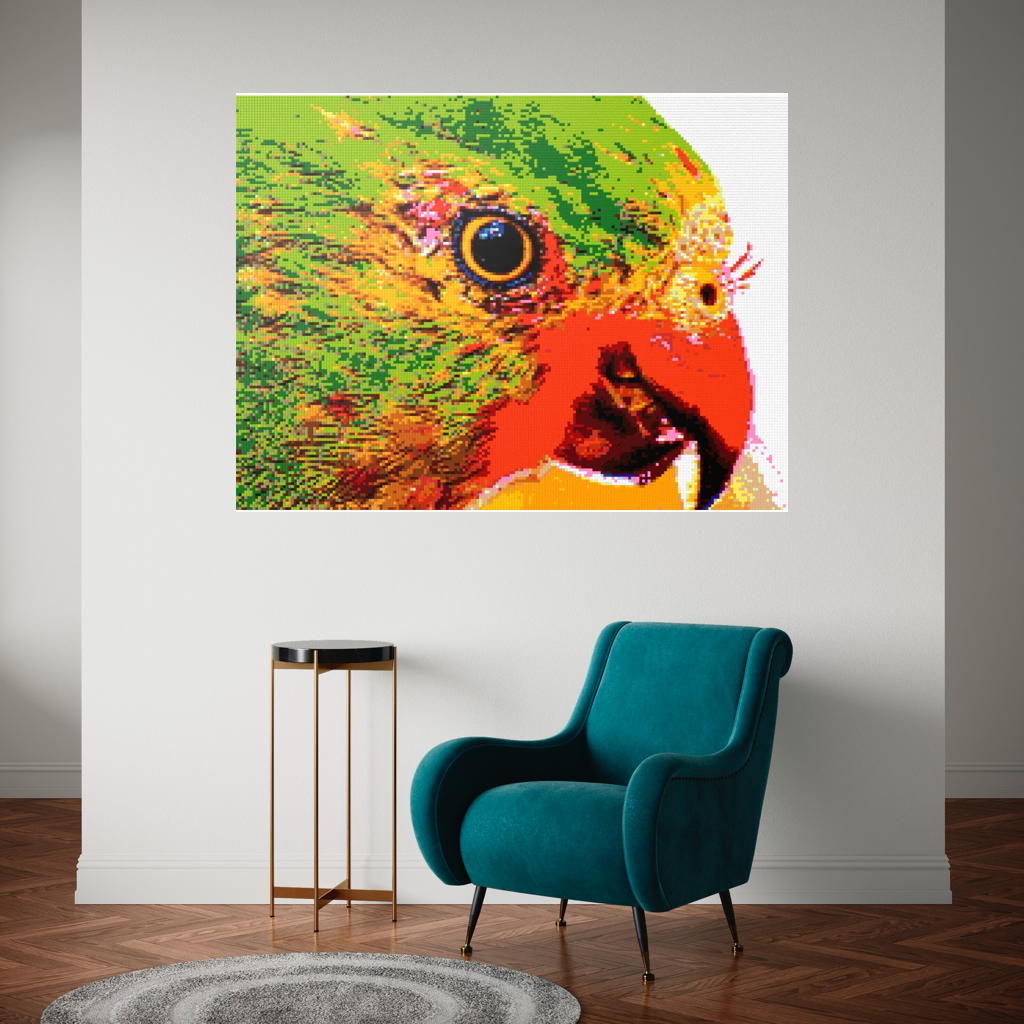 Lorikeet Portrait