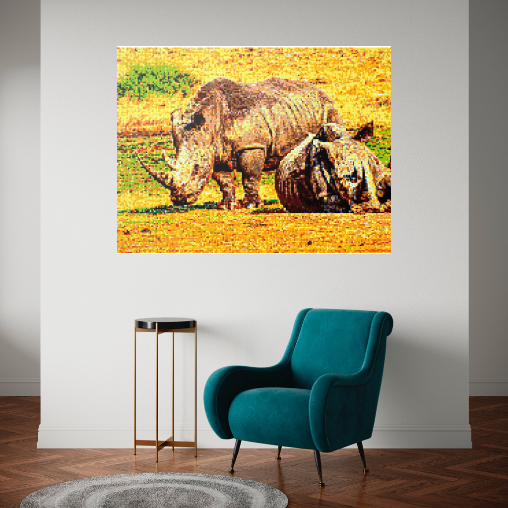A pair of African rhinoceros in Southern Africa