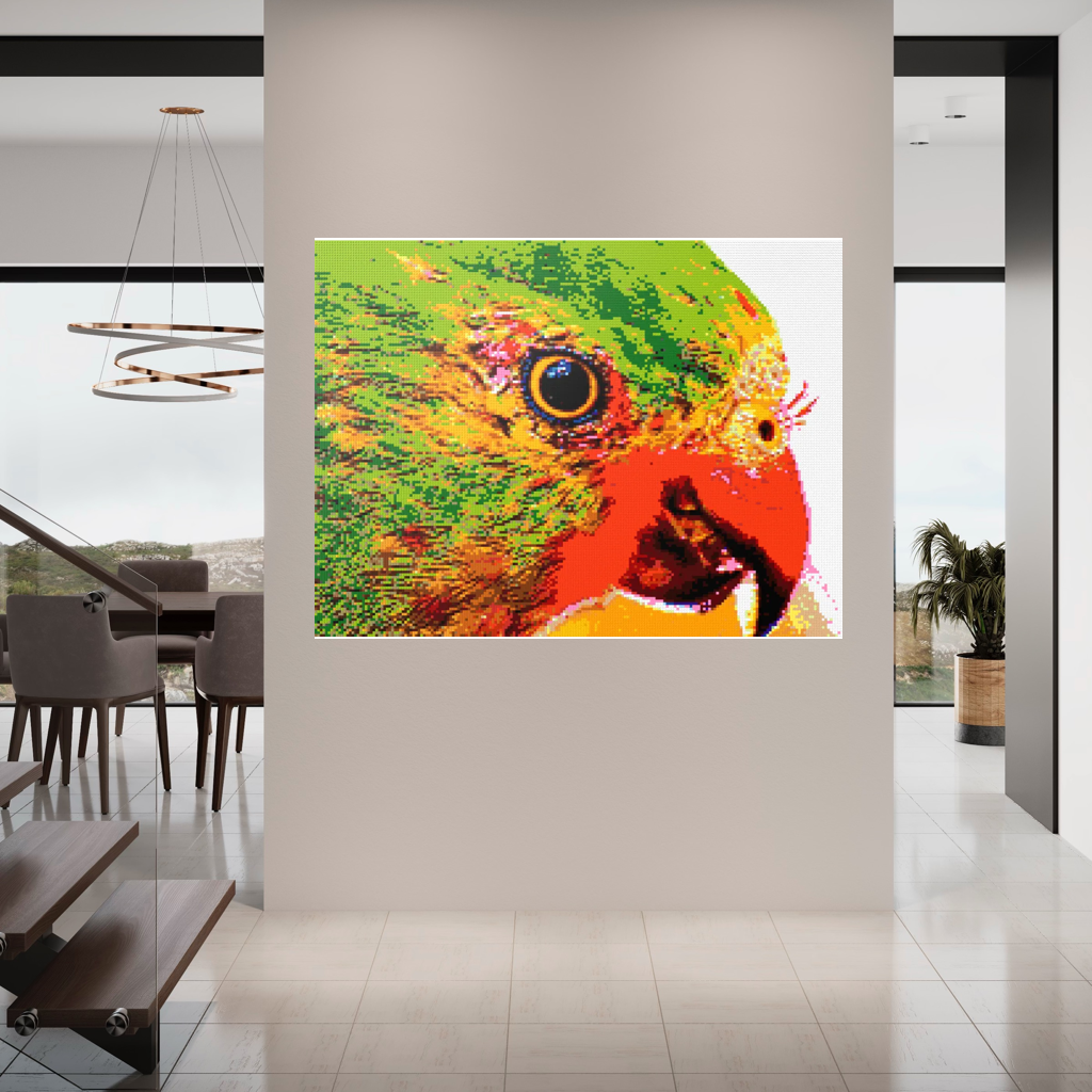 Lorikeet Portrait