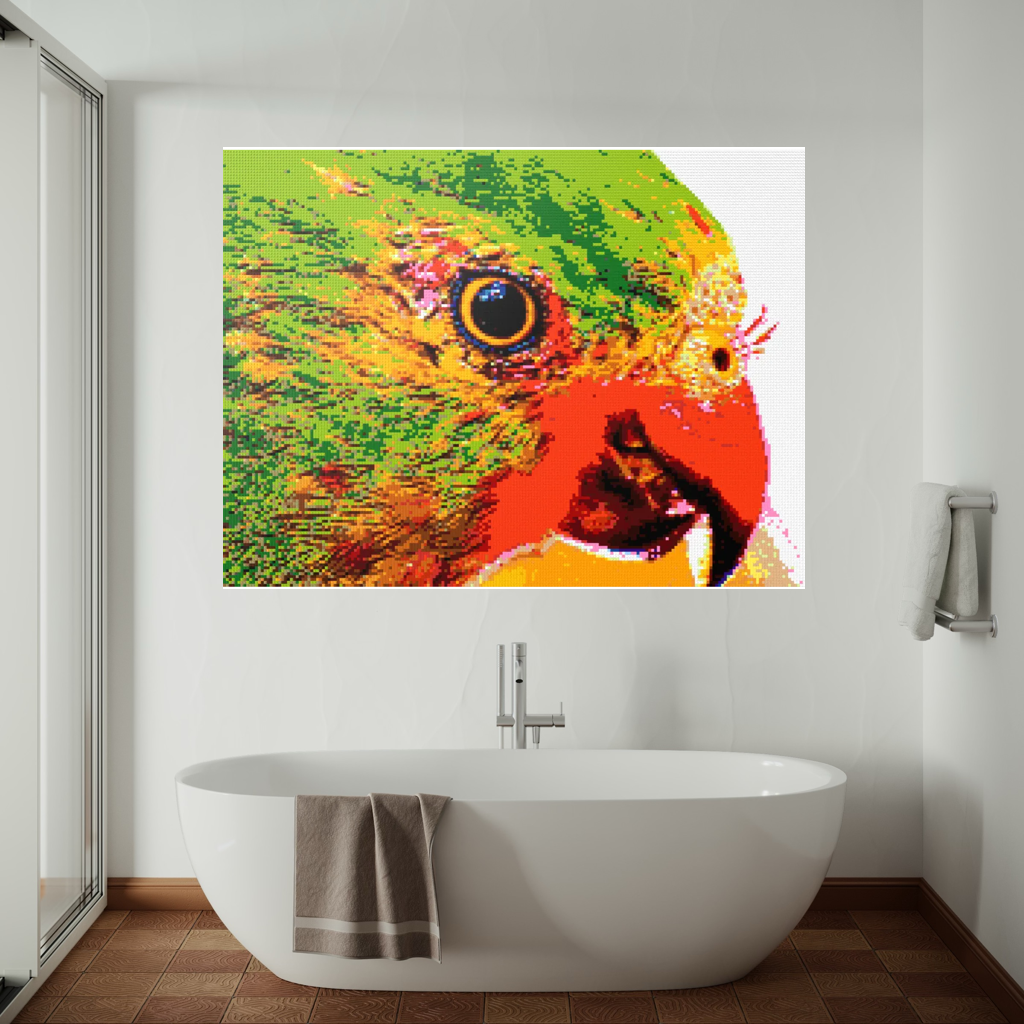 Lorikeet Portrait