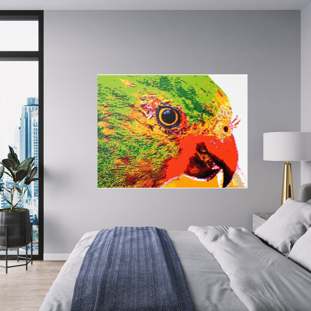 Lorikeet Portrait