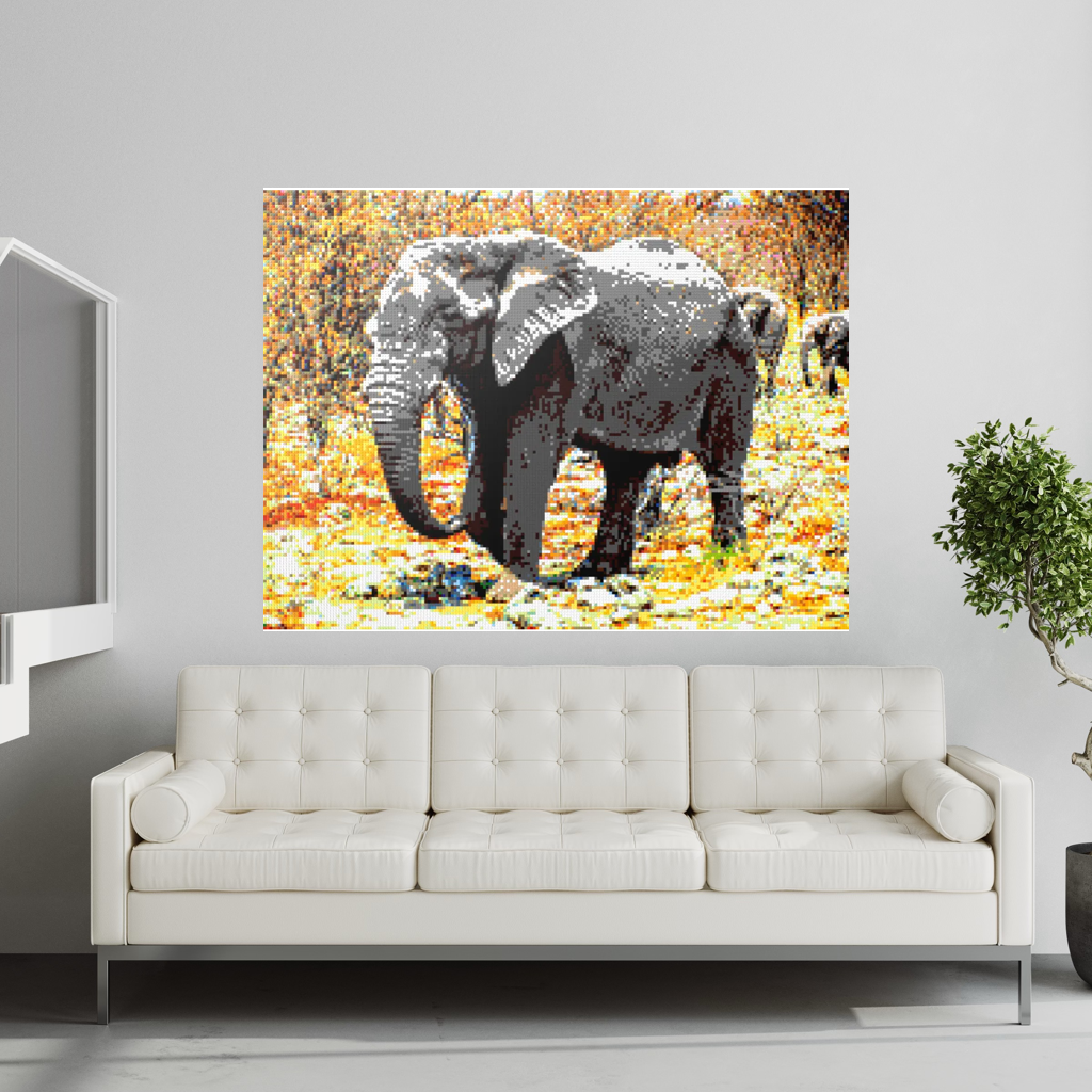African Elephant Portrait