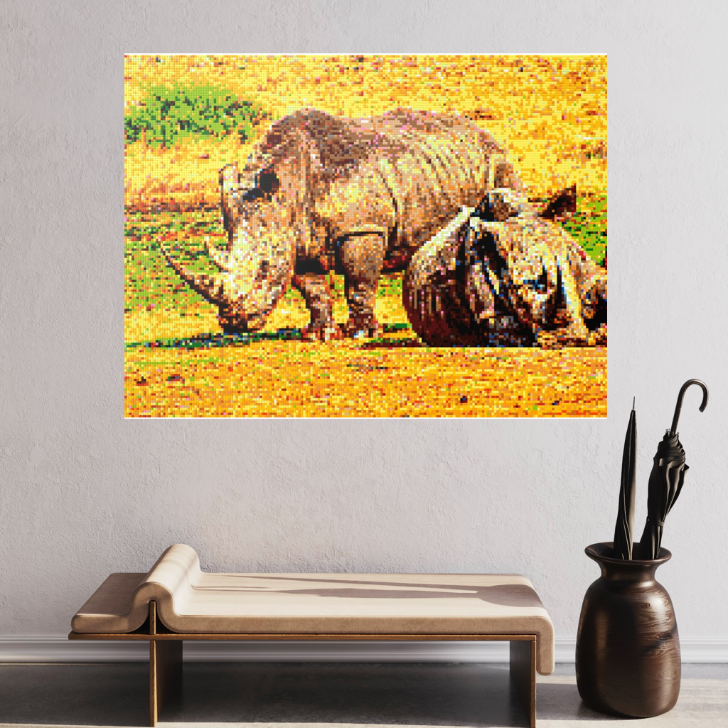 A pair of African rhinoceros in Southern Africa