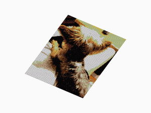 Custom Brick Mosaic