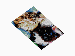 Custom Brick Mosaic