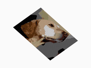 Custom Brick Mosaic