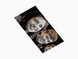 Custom Brick Mosaic