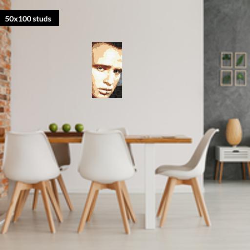 50*100studs, 40*80cm, 15.75*31.5inch